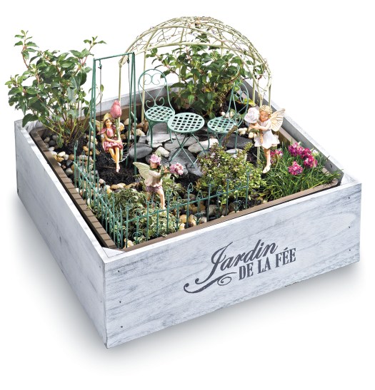 Chasing Fireflies Fairy Garden Box.  Image provided by David Niggli / Anna Shryver, MaxComPR