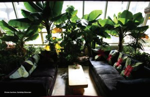 Credit: THINK Magazine (www.thinkmag.net)